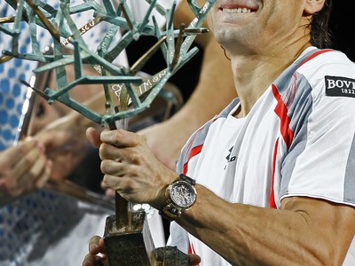 David Ferrer