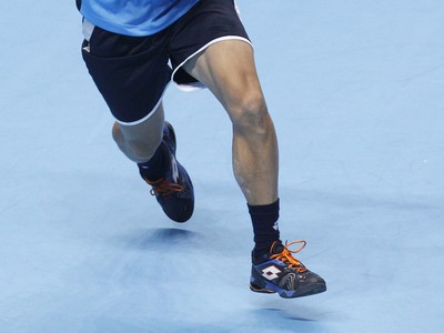 David Ferrer