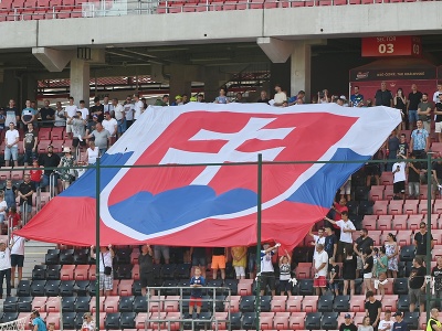 Na snímke slovenskí fanúšikovia povzbudzujú