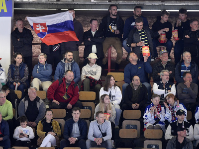 Slovenskí fanúšikovia povzbudzujú v prípravnom zápase Slovensko - Švajčiarsko