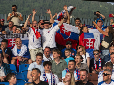 Slovenskí fanúšikovia fandia sokolom v Lichtenštajnsku