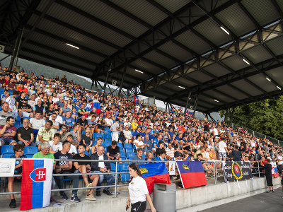 Slovenskí fanúšikovia fandia sokolom v Lichtenštajnsku