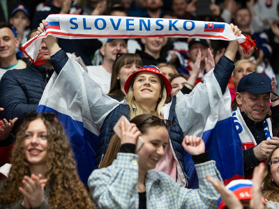 Na snímke radosť slovenských fanúšikov v prípravnom hokejovom zápase Slovensko - Nemecko