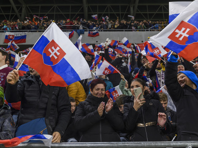 Na snímke slovenskí fanúšikovia oslavujú gól