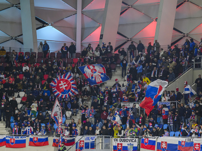 Na snímke slovenskí fanúšikovia počas zápasu kvalifikácie  J-skupiny