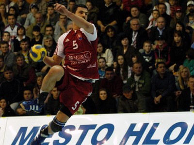František Šulc