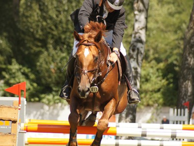Grand Prix