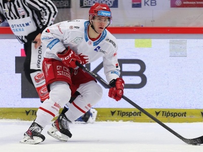 Slovenský hokejista Miloš Roman