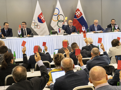 Na snímke hlasovanie počas 63. valného zhromaždenia Slovenského olympijského a športového výboru