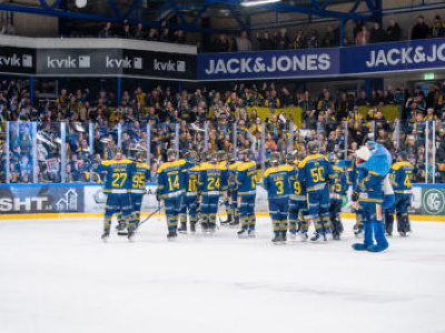 Hráči Herning Blue Fox