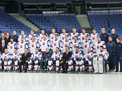 Slovenská hokejová reprezentácia na MS 2013