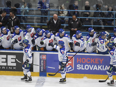 Slovenskí hokejisti oslavujú gól 