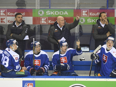 Na snímke striedačka Slovenska, uprostred tréner slovenskej hokejovej reprezentácie Craig Ramsay počas prípravného zápasu Slovensko - Nemecko