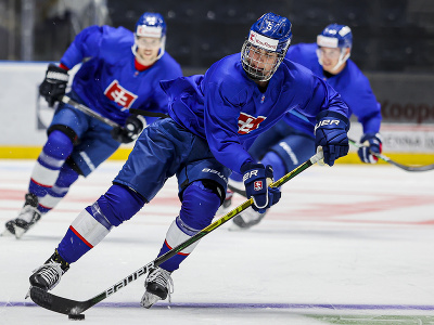 Na snímke hokejista Šimon Nemec počas prvého tréningu slovenskej hokejovej reprezentácie pred olympijskou kvalifikáciou
