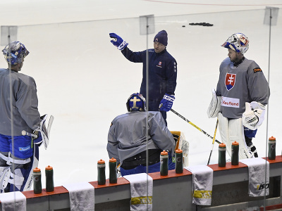 Na snímke tréning hokejovej reprezentácie Slovenska na ľade počas zrazu reprezentácie SR pred prípravnými zápasmi s Českom v Trenčíne 19. apríla 2022.
