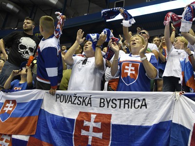Slovenskí fanúšikovia v Steel aréne