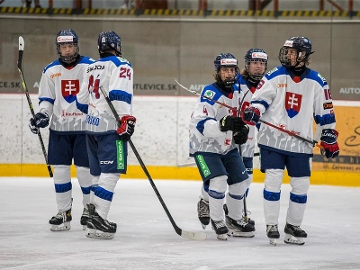 Hokejisti slovenskej šestnástky na Turnaji štyroch krajín