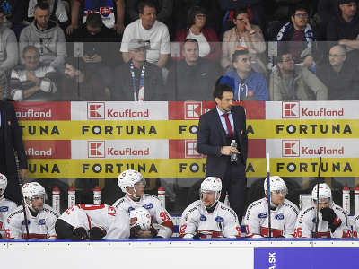 Tréner švajčiarskej hokejovej reprezentácie Patrick Fischer (uprostred hore) stojí na striedačke