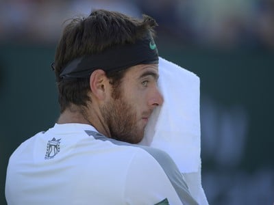 Juan Martín Del Potro