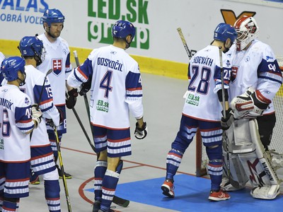 Slovenskí hokejbalisti