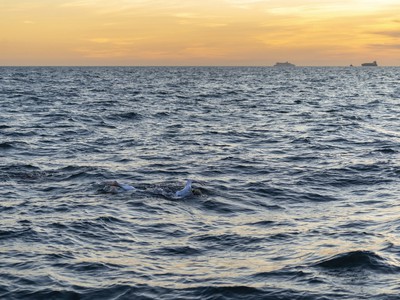 Sarah Thomasová preplávala La Manche za 54 hodín