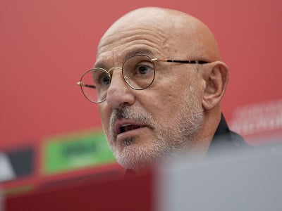 Tréner Španielska Luis de