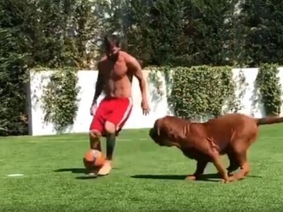 Lionel Messi sa zabával so svojím psom