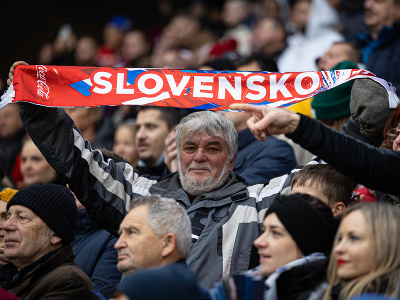 Fanúšikovia slovenského futbalistu Mareka Hamšíka počas prípravného medzištátneho futbalového zápasu medzi Slovensko - Čile