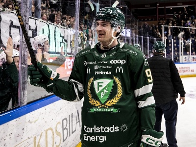 Slovenský hokejista Marián Studenič