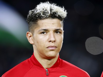 Amine Harit