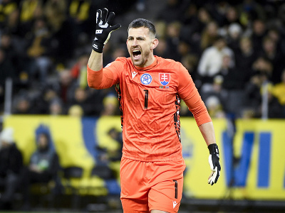 Martin Dúbravka