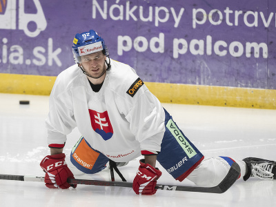 Slovenský hokejový reprezentant Martin Marinčin počas tréningu na reprezentačnom zraze v Bratislave 