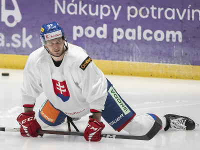 Slovenský hokejový reprezentant Martin Marinčin počas tréningu na reprezentačnom zraze v Bratislave 