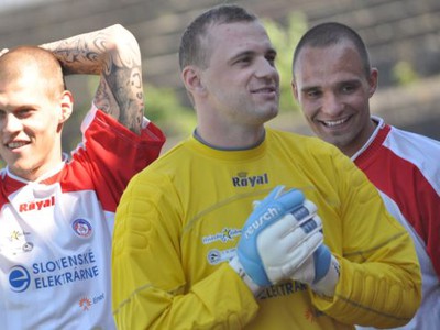 Martin Škrtel, Marian Gáborík,
