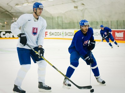 Zdeno Chára a Michel
