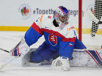 Slovenský brankár Michal Prádel