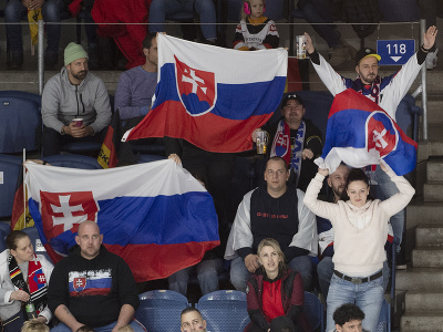 Slovenskí fanúšikovia v zápase Slovensko - Nemecko 