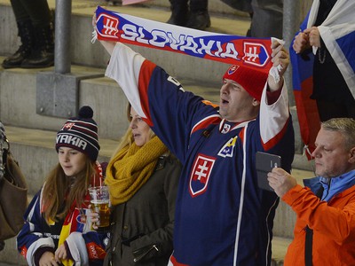 Na snímke slovenskí fanúšikovia v zápase medzinárodného hokejového turnaja o Nemecký pohár Nemecko - Slovensko