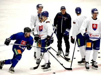 Tréner slovenskej hokejovej reprezentácie Craig Ramsay s hráčmi na prvom tréningu počas reprezentačného zrazu slovenskej hokejovej reprezentácie pred prípravnými zápasmi s Nemeckom