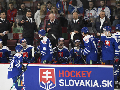 Na snímke uprostred v pozadí tréner slovenskej hokejovej reprezentácie Craig Ramsay na striedačke v prípravnom hokejovom zápase pred MS Slovensko - Nemecko