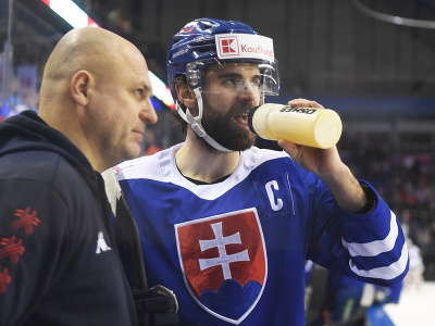 Kapitán Slovenska a hokejový