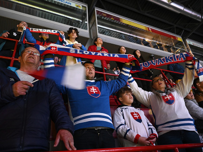 Na snímke fanúšikovia povzbudzujú v prípravnom hokejovom zápase pred MS Slovensko - Nemecko