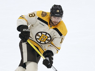Pavel Zacha, český útočník v službách Boston Bruins