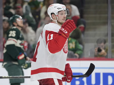 Ruský hokejista Vladimir Tarasenko