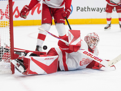 Cam Talbot, brankár Detroitu Red Wings