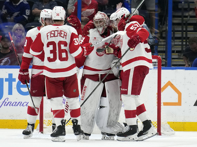 Hokejisti Detroitu Red Wings oslavujú gól 