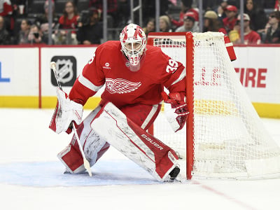 Brankár Detroitu Cam Talbot 