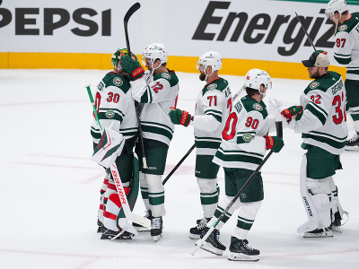 brankár Minnesoty Wild 