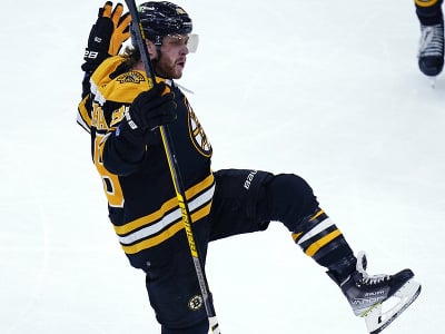Český útočník Bostonu Bruins