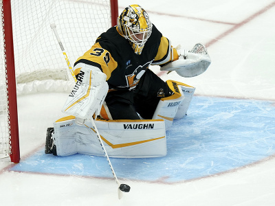Brankár Penguins Alex Nedeljkovic 